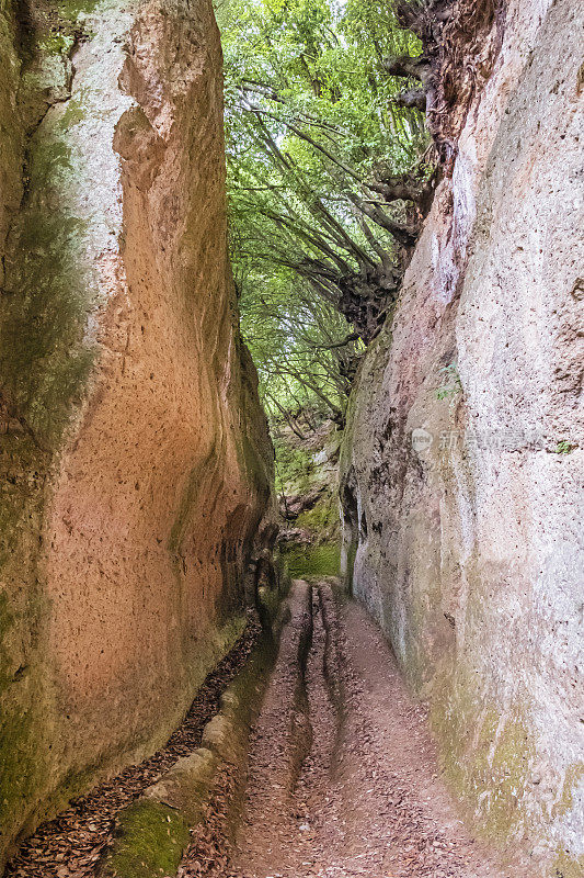 皮蒂利亚诺托斯卡纳的Vie Cave